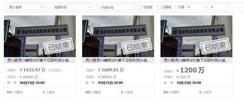 桂林市一個(gè)出租到2039年的工廠拍賣,被兩家企業(yè)聯(lián)合以1433萬買下