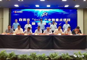 總投資額531.39億元 自貢推介 5 1 產(chǎn)業(yè)重點項目100個