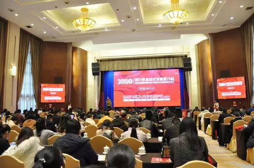 巔峰智業(yè)邢祺受聘為四川省照明電器協(xié)會(huì)文旅燈光專委會(huì)專家顧問