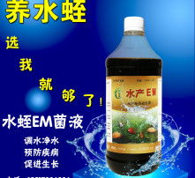 高清圖片