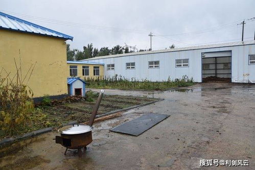 吉林梨樹縣 環(huán)保項(xiàng)目被撂荒 堆肥處理廠變 糞便堆放場(chǎng)