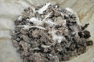 有機肥安全使用引發的食品安全問題